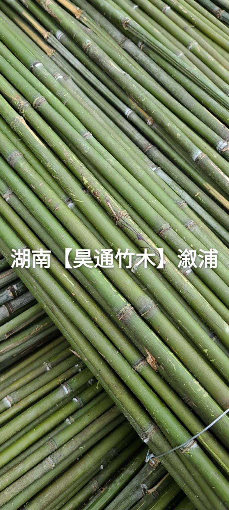 湘西雪峰山2.4米～2.5米菜架竹、竹竿、竹架条、白竹