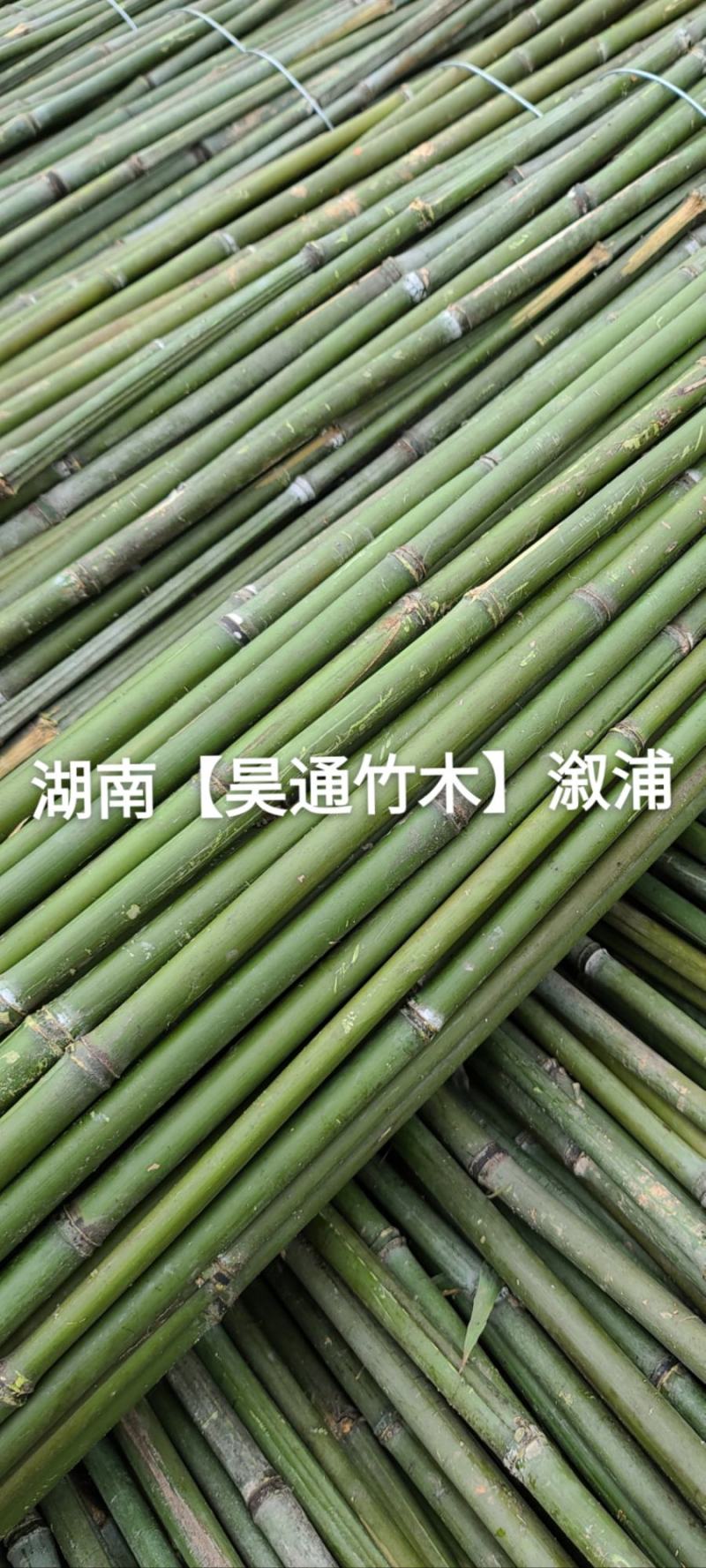 湘西雪峰山2.4米～2.5米菜架竹、竹竿、竹架条、白竹