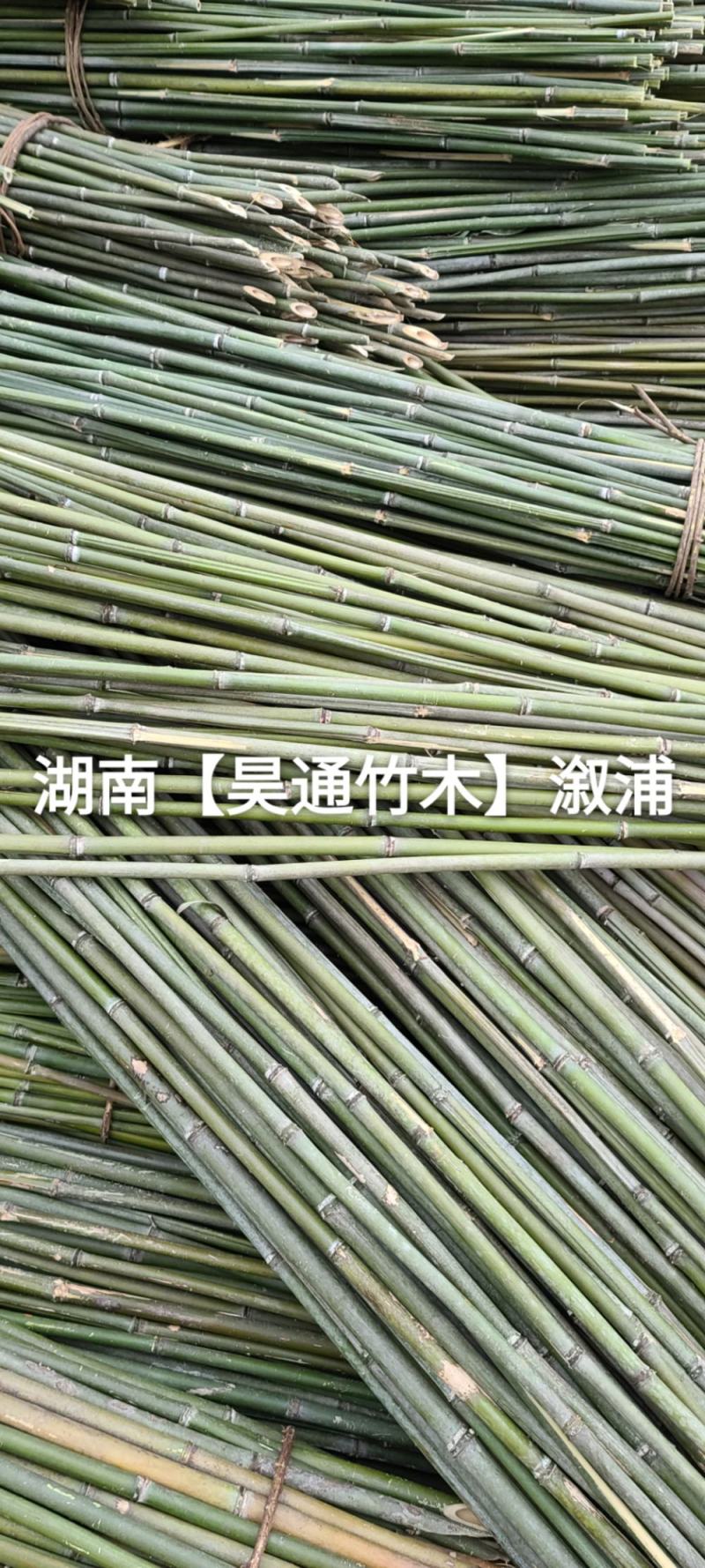 湘西雪峰山2.4米～2.5米菜架竹、竹竿、竹架条、白竹