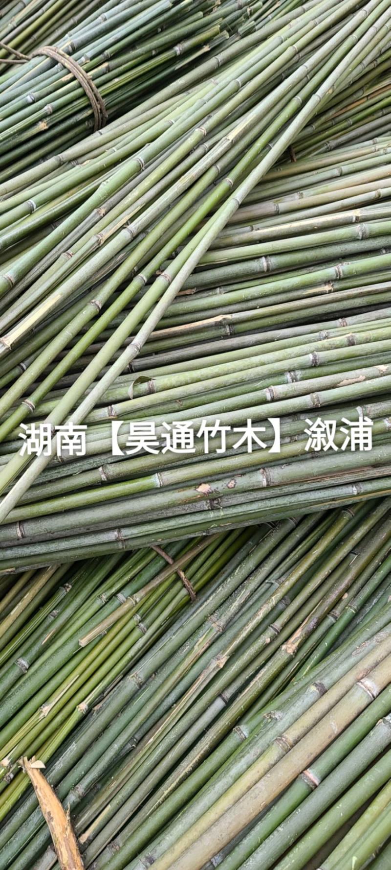 湘西雪峰山2.4米～2.5米菜架竹、竹竿、竹架条、白竹