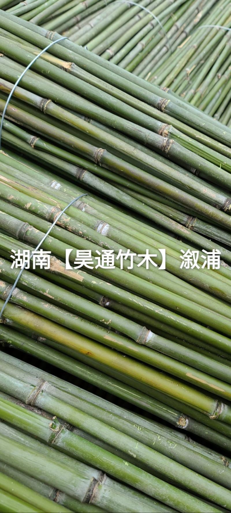 湘西雪峰山2.4米～2.5米菜架竹、竹竿、竹架条、白竹