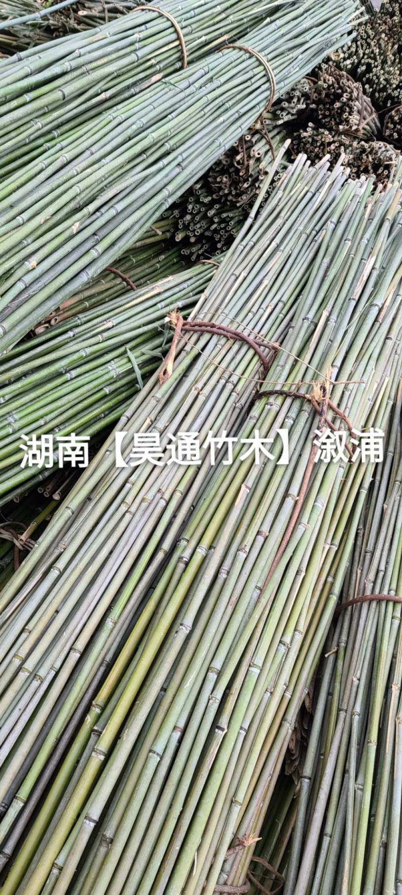 湘西雪峰山2.4米～2.5米菜架竹、竹竿、竹架条、白竹