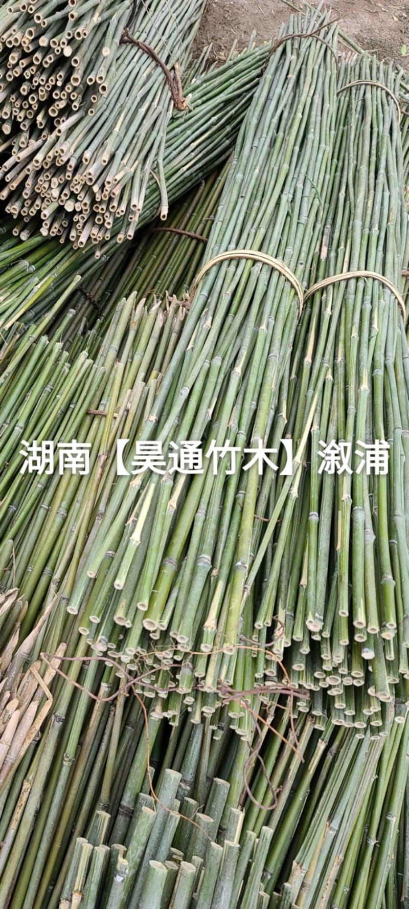 湘西雪峰山2.4米～2.5米菜架竹、竹竿、竹架条、白竹