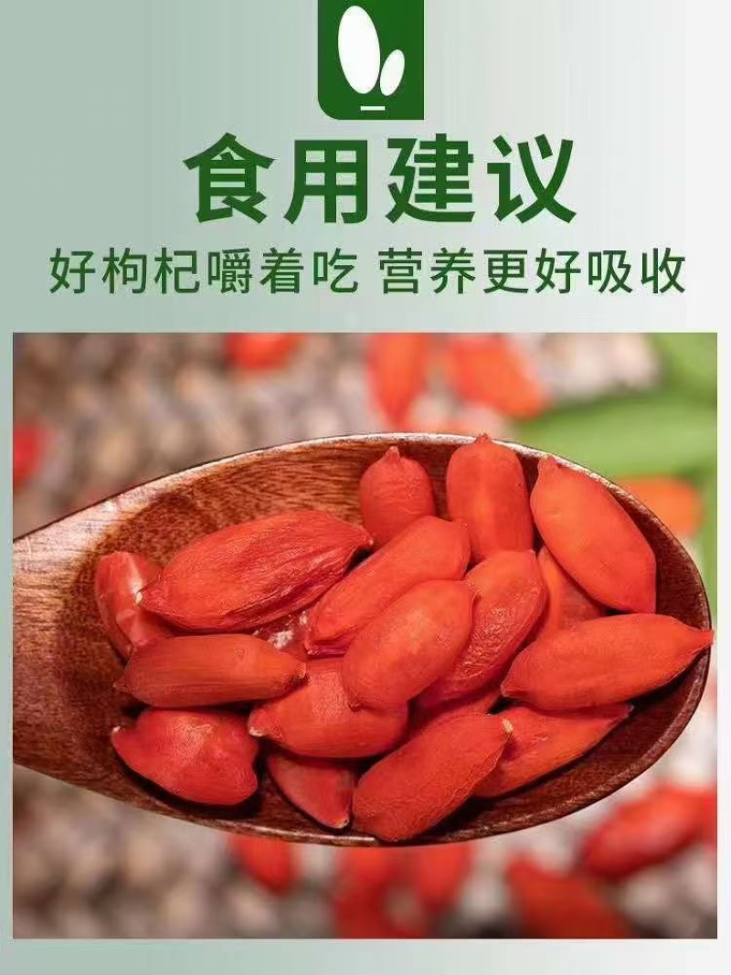 新疆红枸杞，