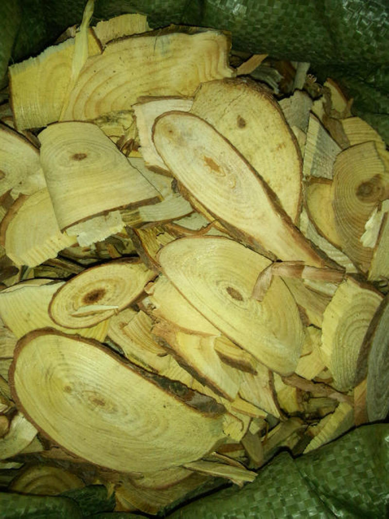 松节，常年批发供应冷背中药材，松节量大从优