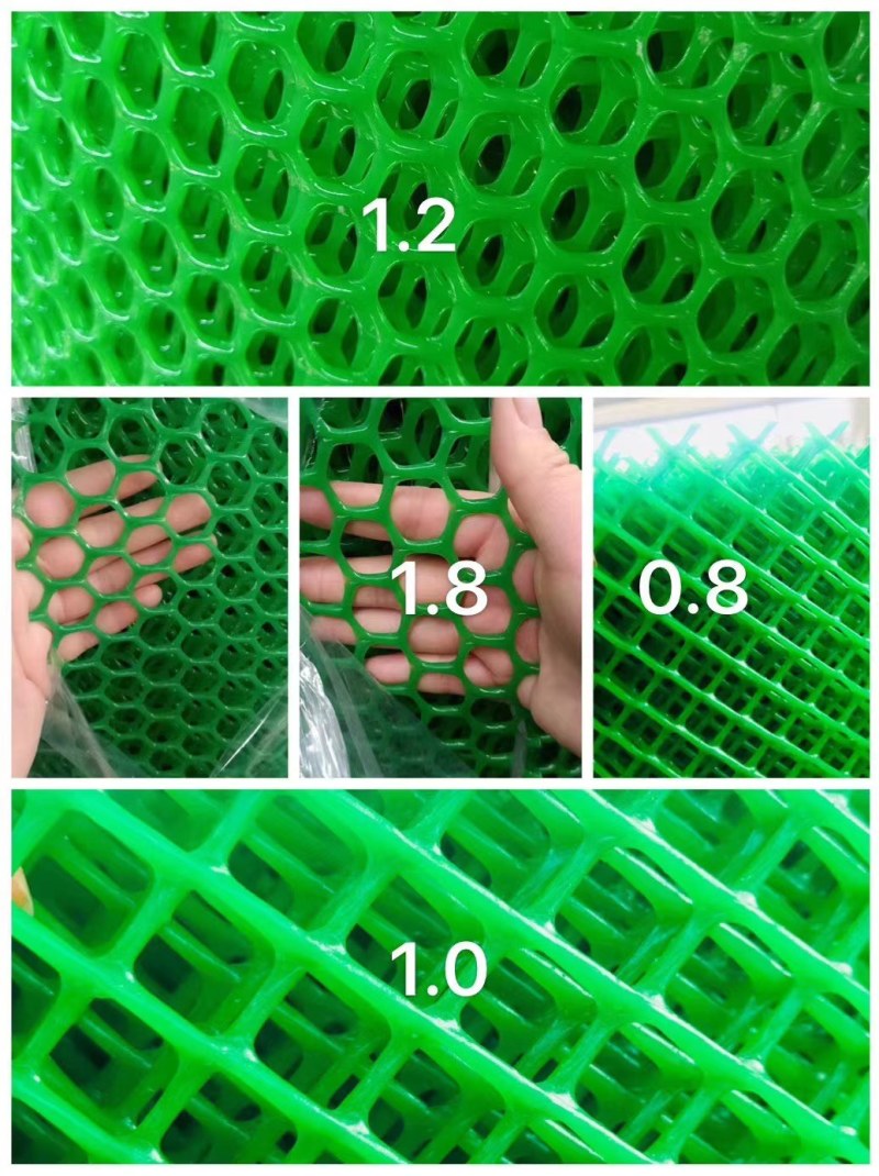 包邮养殖网养鸡鸭鹅底网白色塑料养殖网