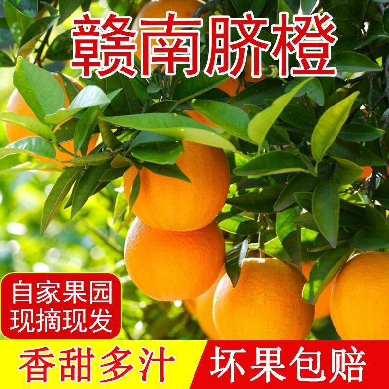 正宗江西赣南脐橙皮薄肉赣南产地直供新鲜现摘大量批发整车发