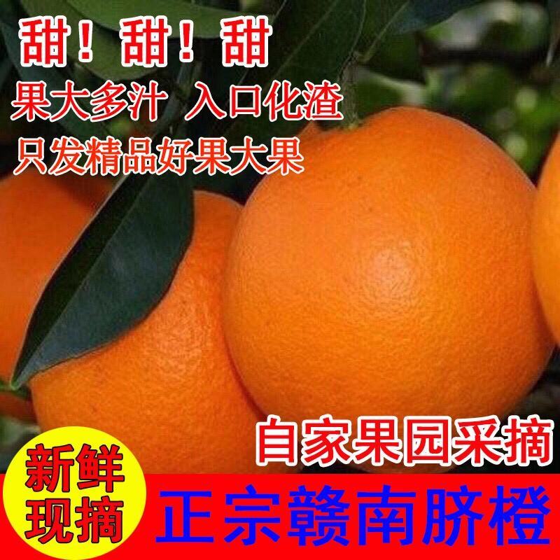 正宗江西赣南脐橙皮薄肉赣南产地直供新鲜现摘大量批发整车发