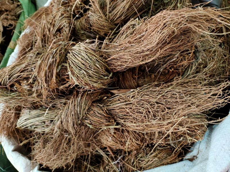 纯正中药材新货徐长卿根徐长青了刁竹寮刁竹全株