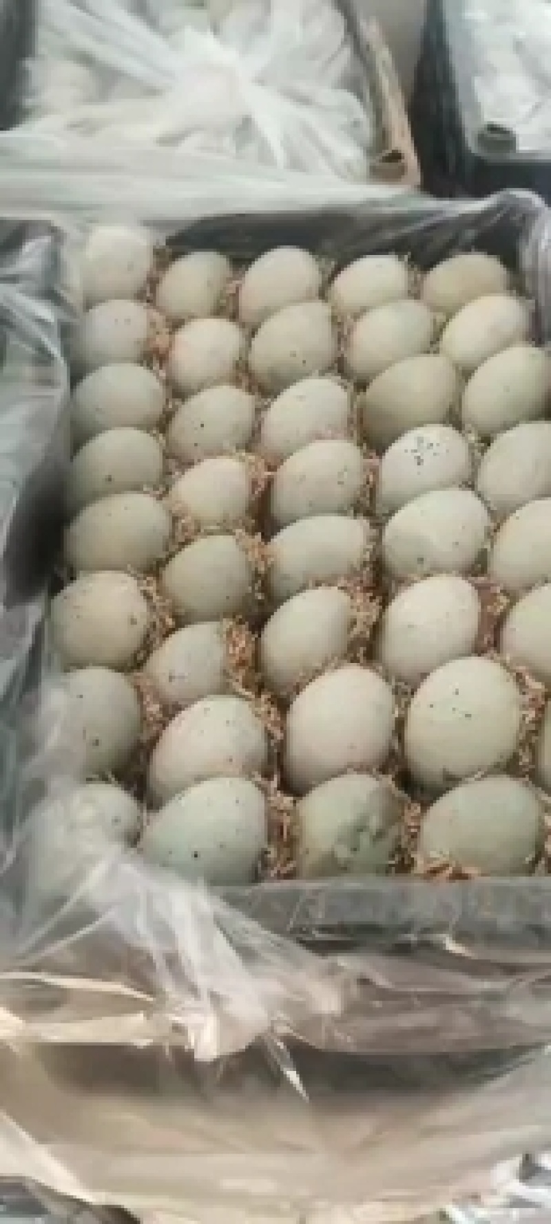 松花皮蛋，稻壳松花蛋半包泥，可供电商，旅游礼品，地摊模式