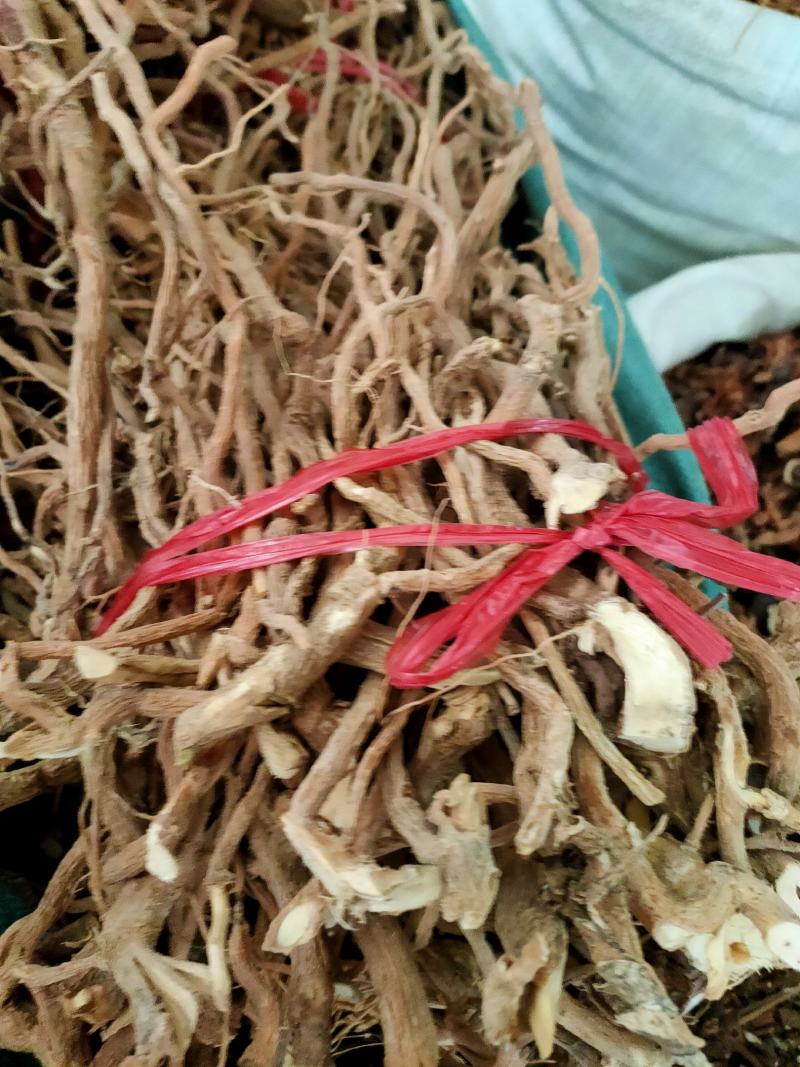 中药材野生黄花倒水莲，黄花参，倒吊黄根，全根部
