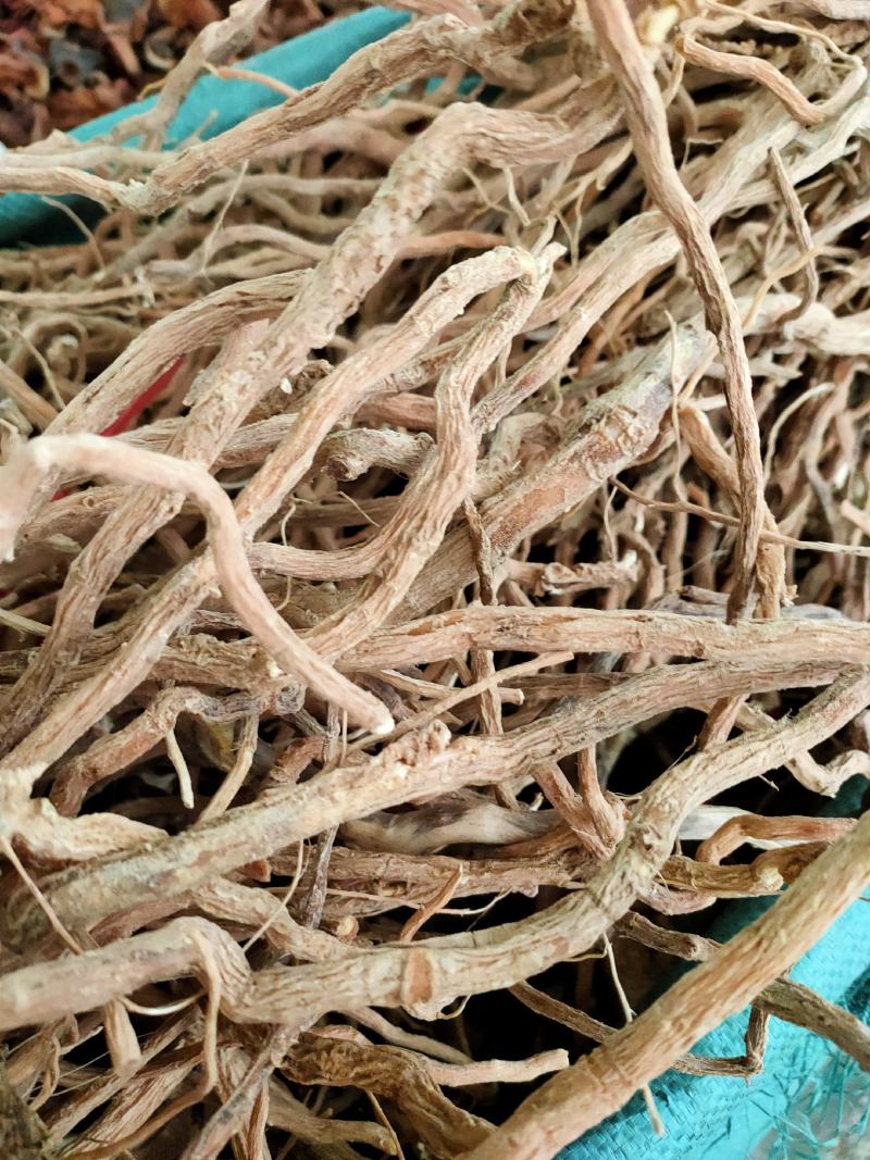 中药材野生黄花倒水莲，黄花参，倒吊黄根，全根部