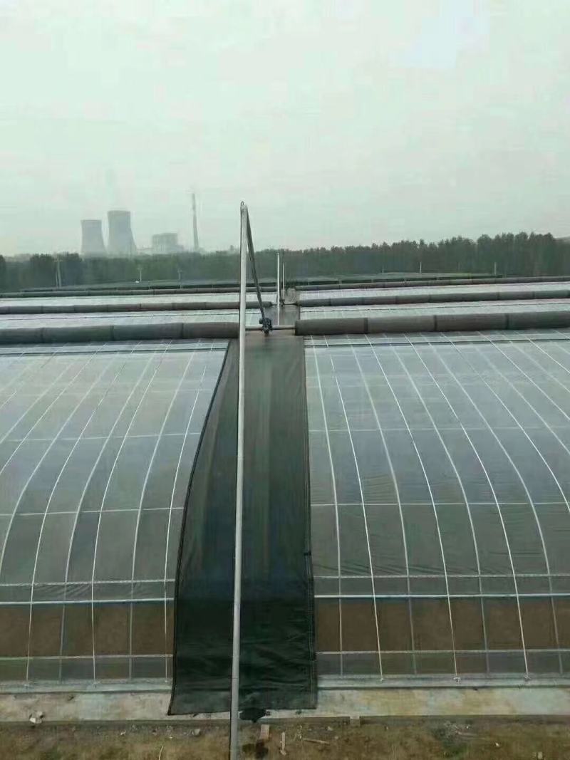 椭圆管钢架大棚养殖棚上门安装全国发货