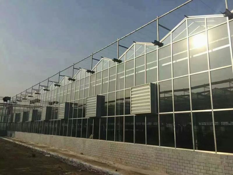 连栋棚种植果苗棚热度辛管材上门安装全国发货