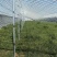 连栋棚种植果苗棚热度辛管材上门安装全国发货