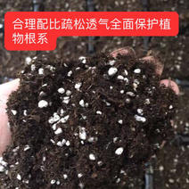 重庆贵州四川漂浮育苗基质营养土辣椒烟草多肉花卉通用