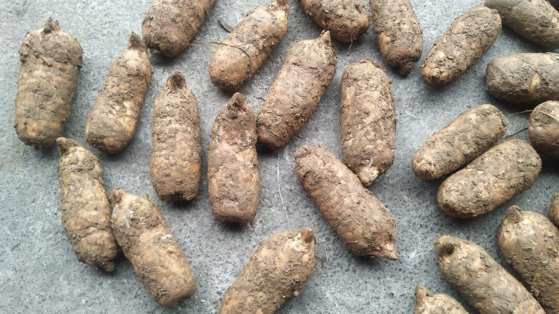 中药对比知识图解