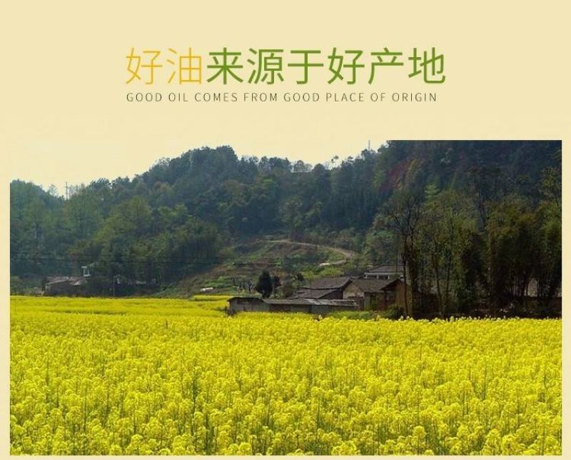 现榨新油菜籽油食用菜籽油传统工艺自榨微利跑量不纯不正包退