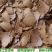 现榨新油菜籽油食用菜籽油传统工艺自榨微利跑量不纯不正包退