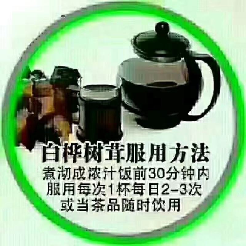 东北纯野生桦树茸无染色，无提取无添加，产地批发一手货源