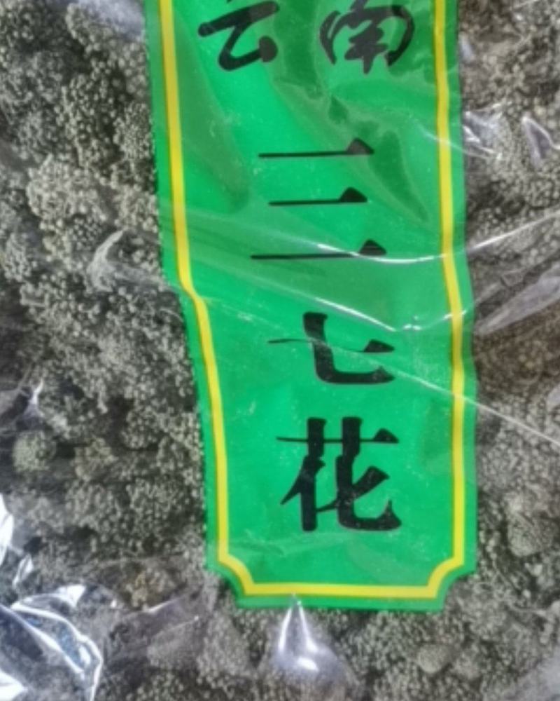 三七花大量批发零售质量保证