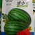 礼品西瓜种子蜜小宝红壤皮薄，甜度高1-2公斤亩6袋