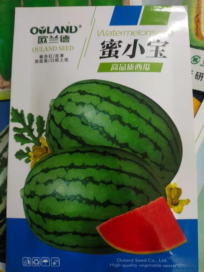 礼品西瓜种子蜜小宝红壤皮薄，甜度高1-2公斤亩6袋