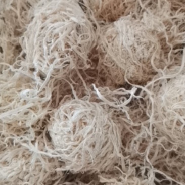竹茹球大量批发零售质量保证纯净货