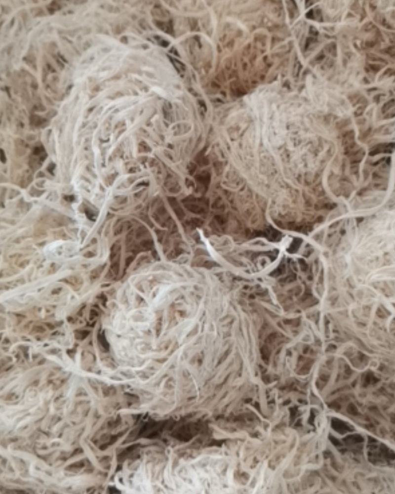 竹茹球大量批发零售质量保证纯净货