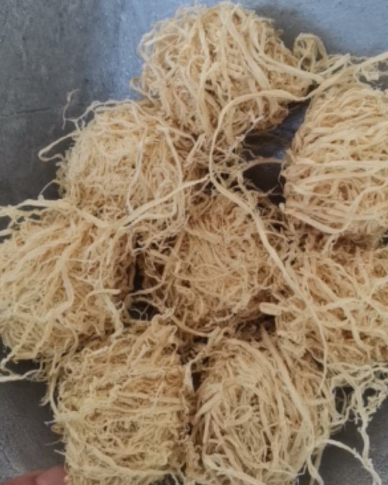 竹茹球大量批发零售质量保证纯净货