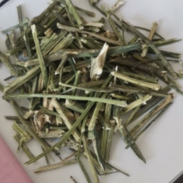 穿心莲质量保证产地直销可视频看货