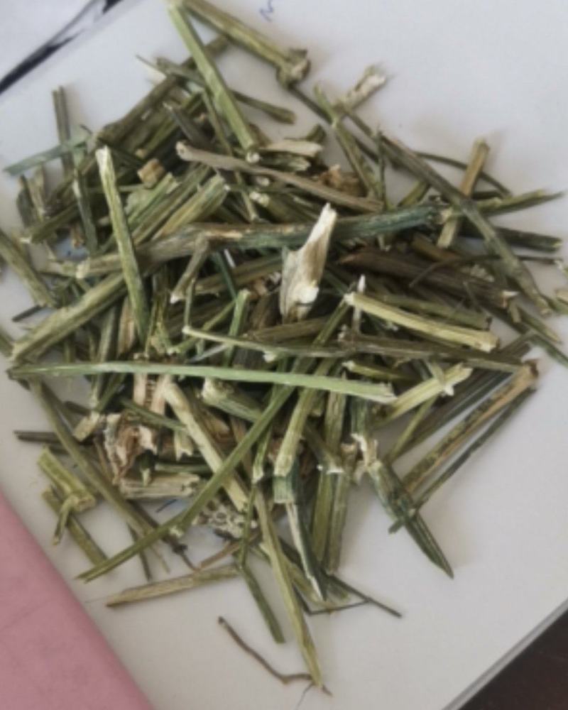 穿心莲质量保证产地直销可视频看货