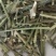 穿心莲质量保证产地直销可视频看货