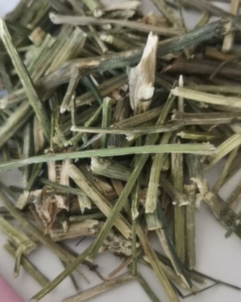 穿心莲质量保证产地直销可视频看货
