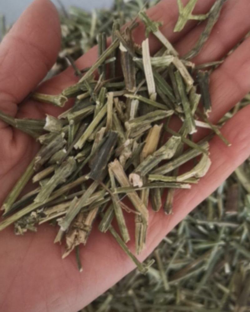 穿心莲质量保证产地直销可视频看货