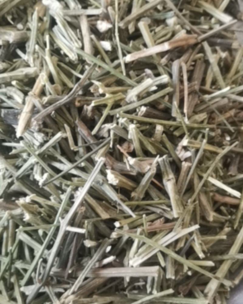 穿心莲质量保证产地直销可视频看货