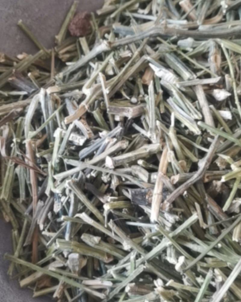 穿心莲质量保证产地直销可视频看货