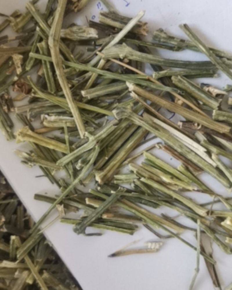 穿心莲质量保证产地直销可视频看货
