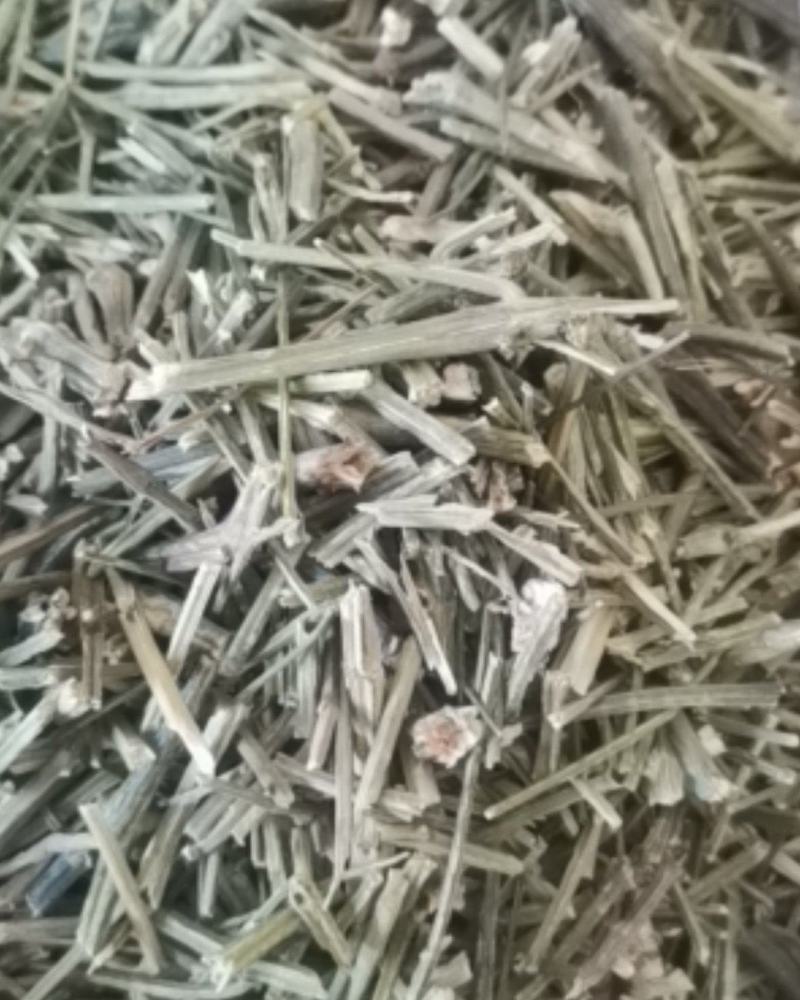 穿心莲质量保证产地直销可视频看货