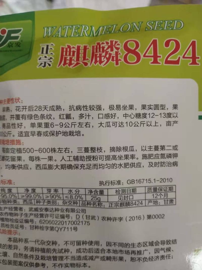 西瓜种子麒麟8424早熟杂交种子开花后28天成熟