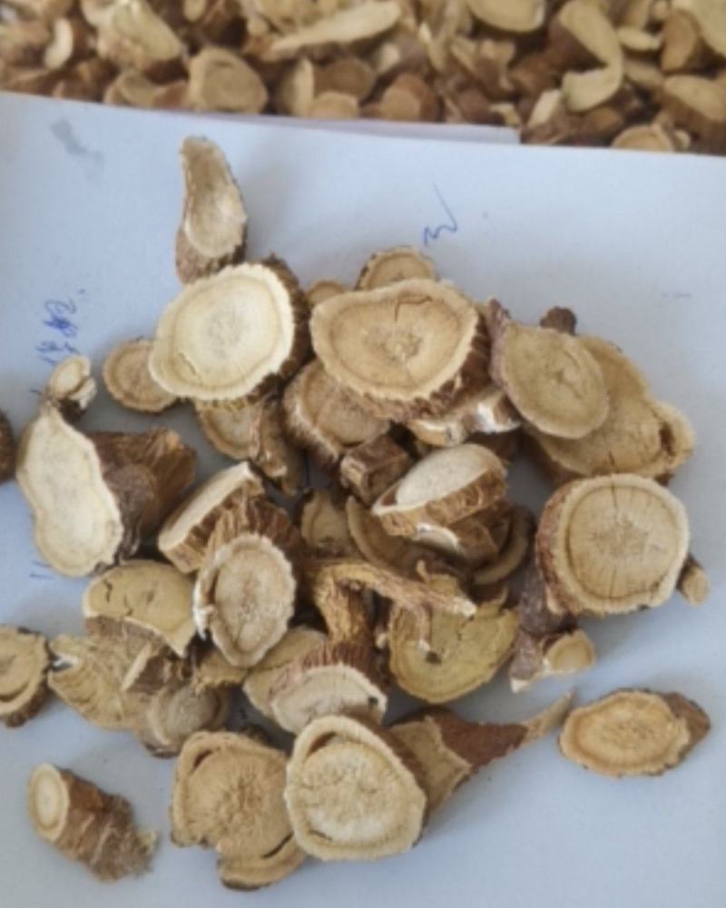 苦参选装货质量保证可视频看货