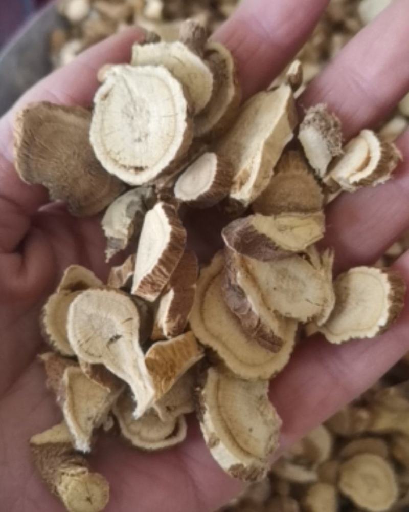 苦参选装货质量保证可视频看货