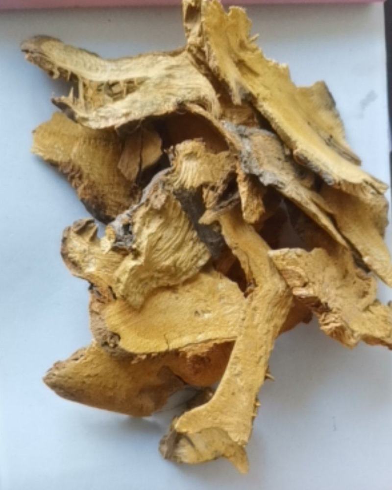 虎杖大量批发零售质量保证可视频看货