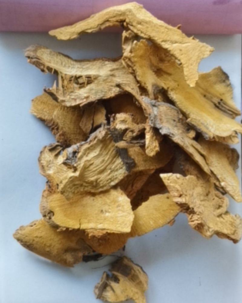 虎杖大量批发零售质量保证可视频看货