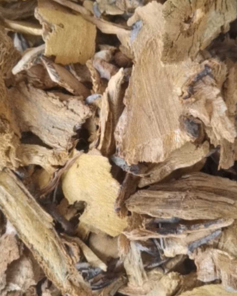 虎杖大量批发零售质量保证可视频看货