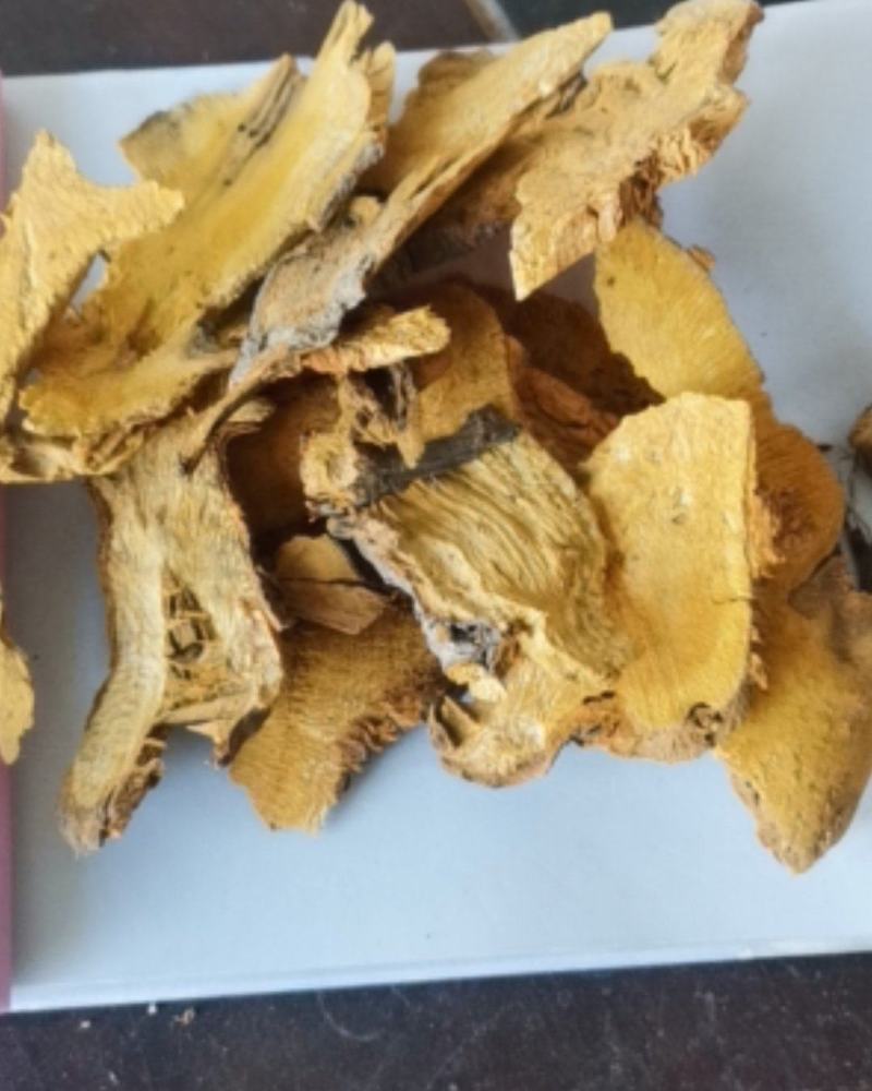 虎杖大量批发零售质量保证可视频看货