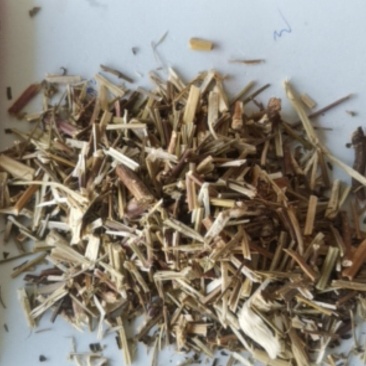 荆芥产地直供可视频看货质量保证