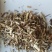 荆芥产地直供可视频看货质量保证
