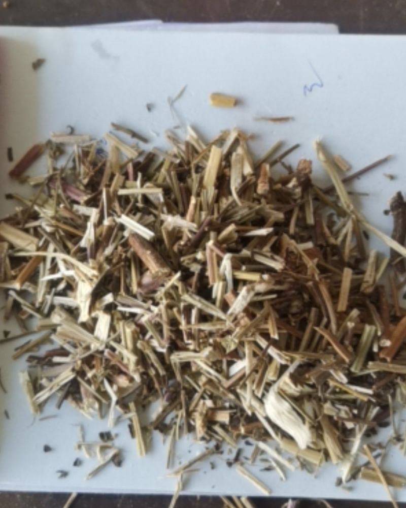 荆芥产地直供可视频看货质量保证