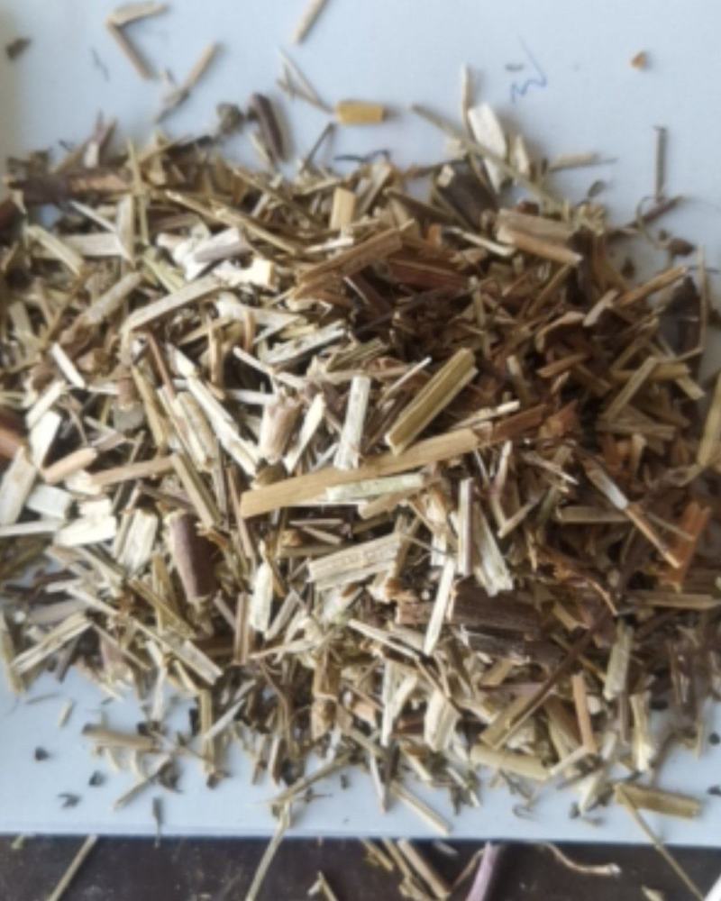 荆芥产地直供可视频看货质量保证